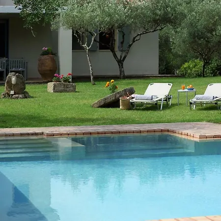 Olive Дом отдыха