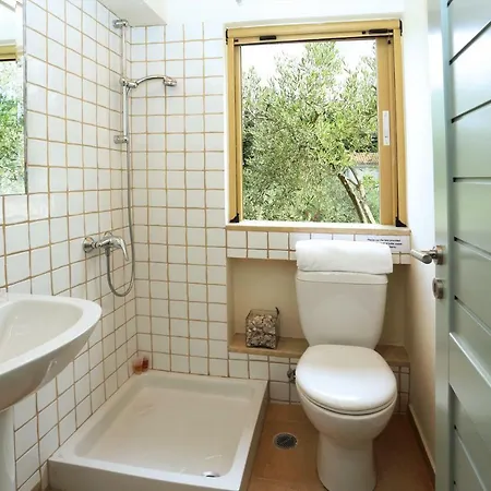 Olive Áno Korakiána