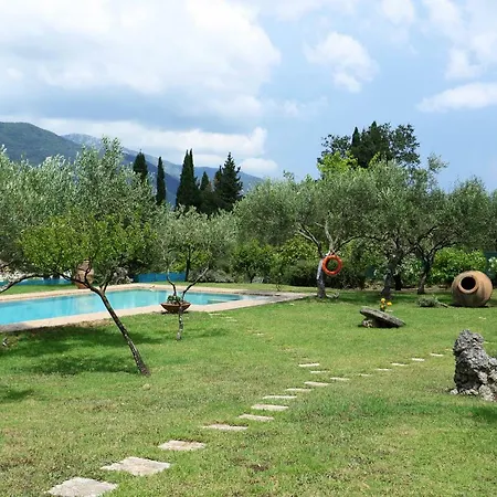 Olive * Áno Korakiána